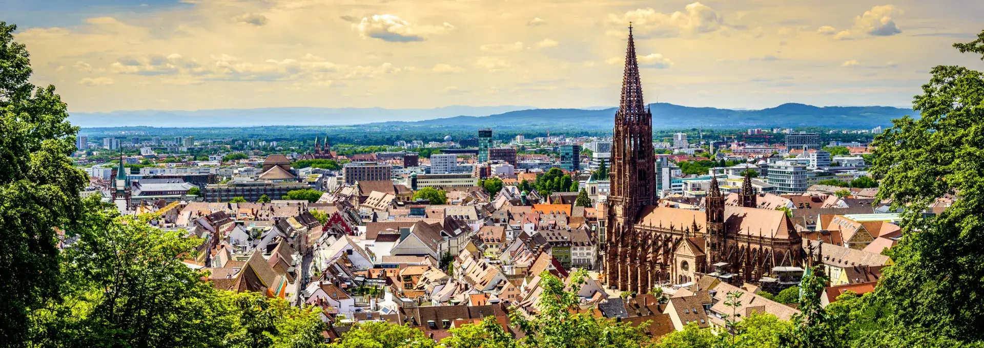 Blick vom Schlossberg über die Freiburger Altstadt mit Münster